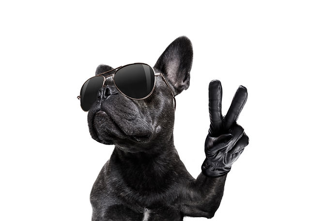 shutterstock_722321596.jpg