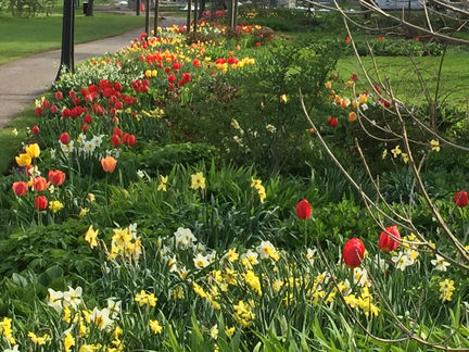 It is a lovely spring day here. How is your day going.