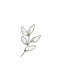 Copy of Unnamed Design (2).png