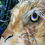Thumbnail: Hares SOLD