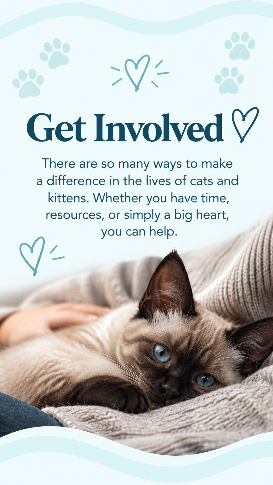 get involved.png