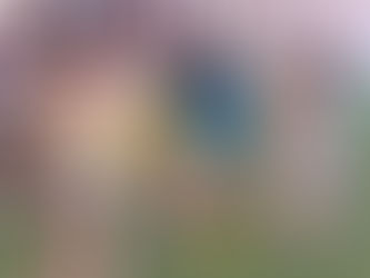 タイのバンコクにて体験会開催！