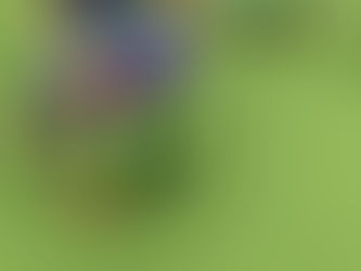 コーディネーション能力とは　井上コーチの木曜日ブログ