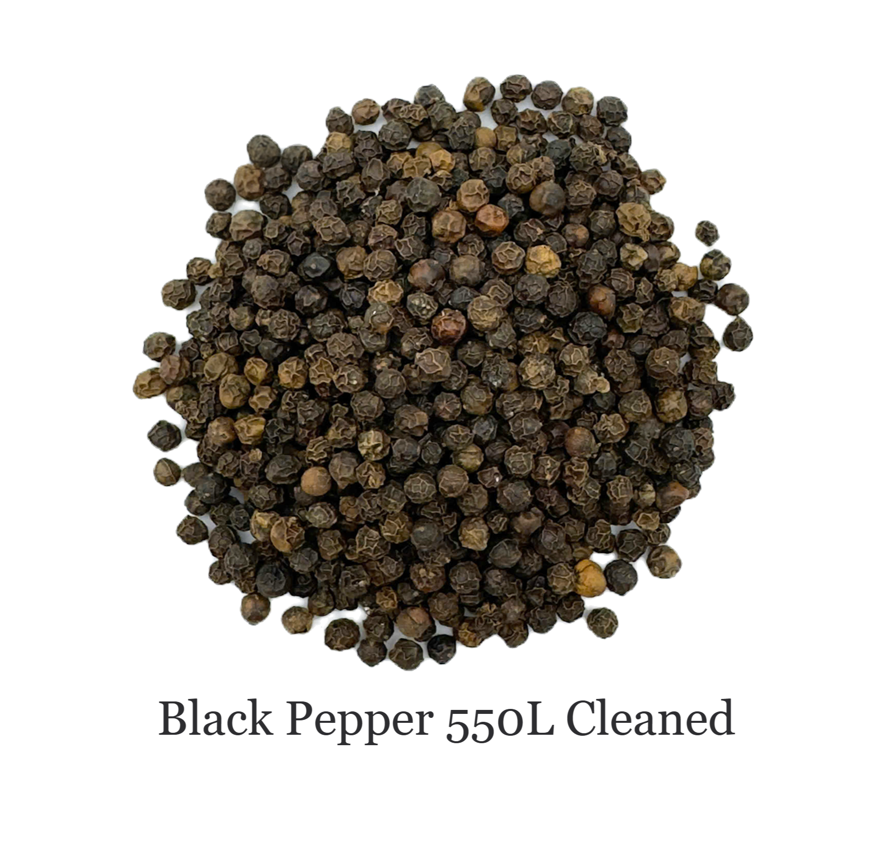 Black pepper 550gl cleaned
