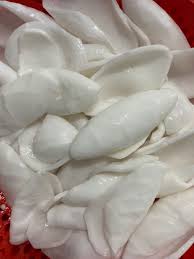 Desiccated coconut