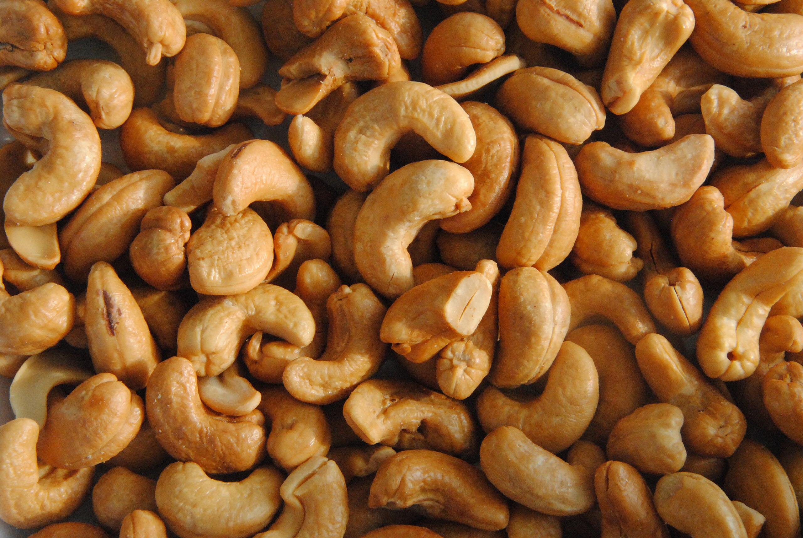 Cashews bulk buy business