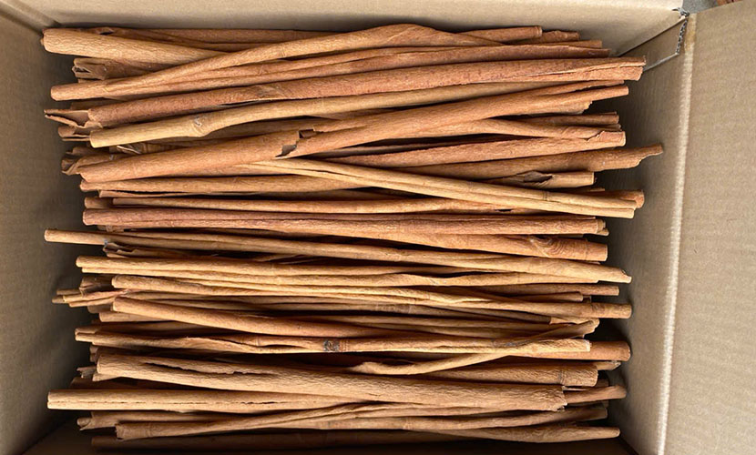 Vietnamese cassia sticks
