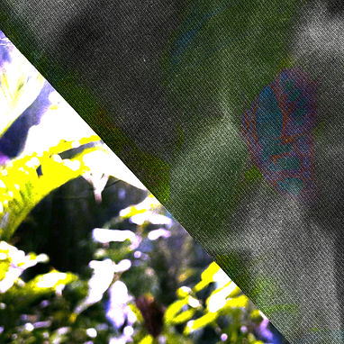 Serene (cover concept color)