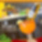 277492620_305256271742118_3201955266629233030_n.jpg