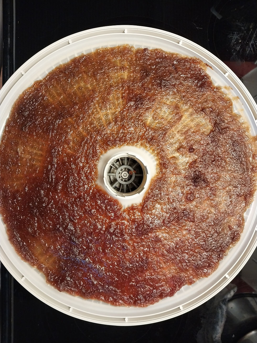 Rhubarb fruit leather "dry pie" is finished dehydrating.