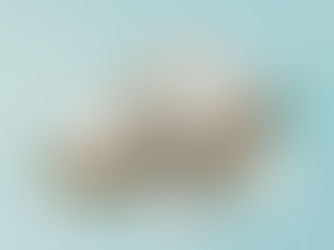 Animação 3D: o novo showroom das casas pré-fabricadas