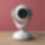 Demonstração de recursos técnicos em ação: Como animação 3D transformam a apresentação de webcams