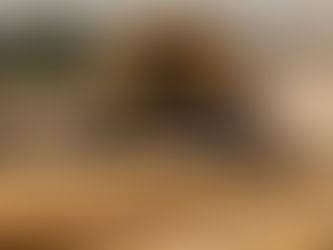 Como vídeos 3D ajudam a vender mais colheitadeira