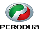P.png
