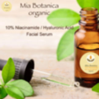10% Niacinamide / Hyaluronic Acid Facial Serum