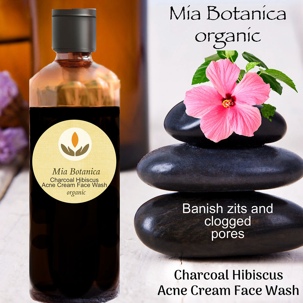 Organic Activated Charcoal Hibiscus Acne Cream Face Wash