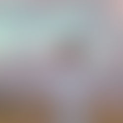 Thylacine : Le tour du monde en 90 minutes