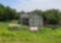 Image of the view of the Field Center building from the side of the garden in high summer