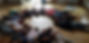 Image of a group of people lying on their backs with their heads facing the center of the circle, eyes closed