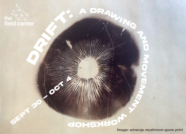 _DRIFT-SEPT-idea.png