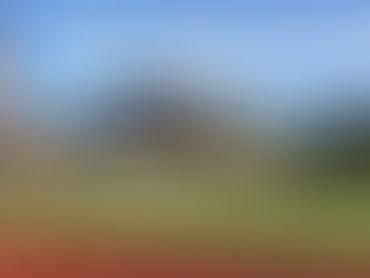 Does Cardio burns fat ?