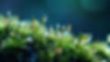 ai-generated-8659507_1920.jpg