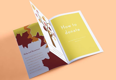 59621050_401682647333477_247043034358952