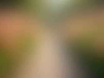 Understanding Holistic Wellness Coaching