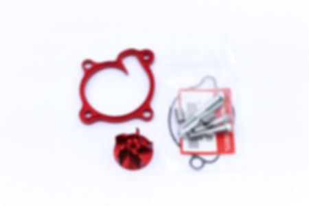 Water Pump Kit CRF 250 R/RX