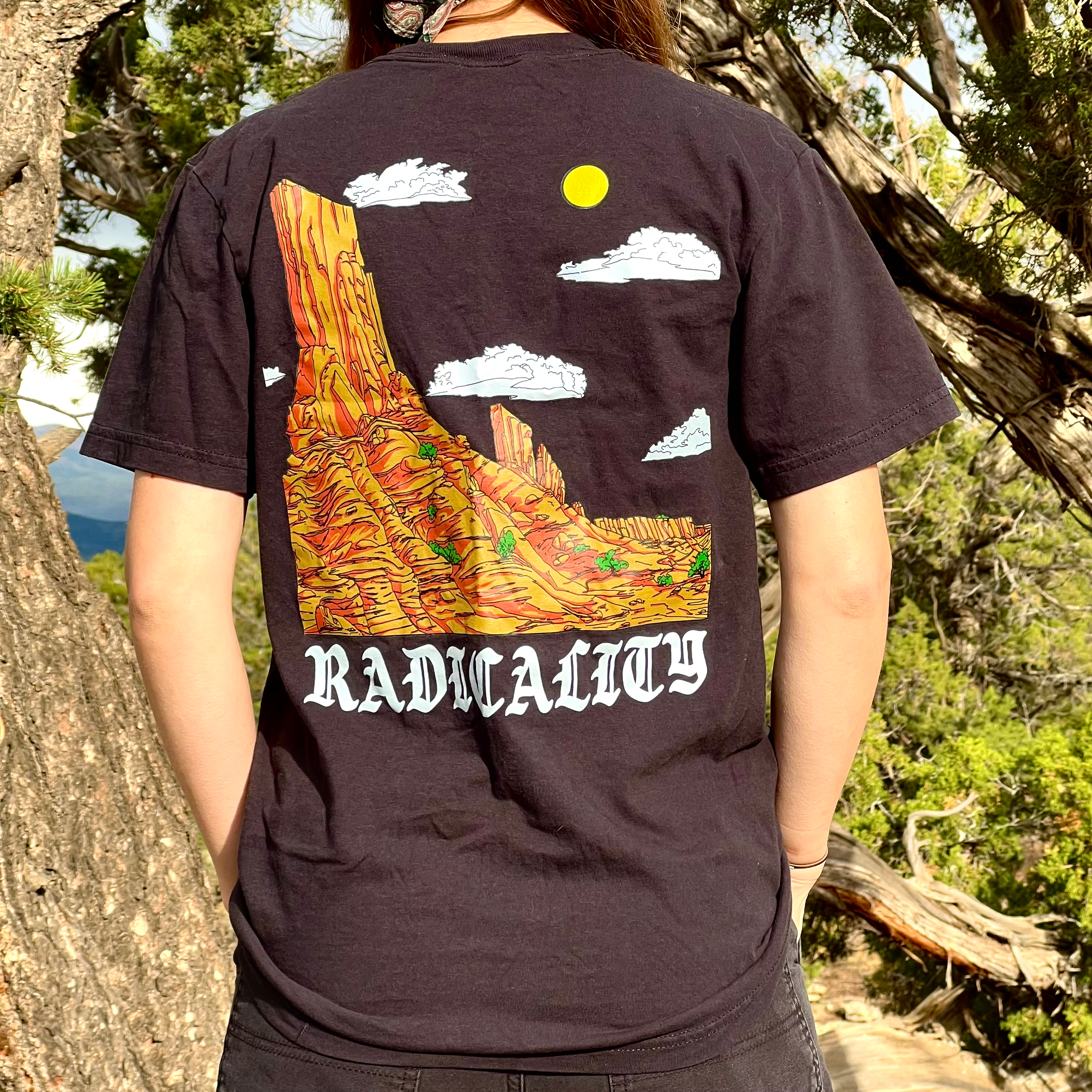 RAD -Unisex garment-dyed heavyweight t-shirt