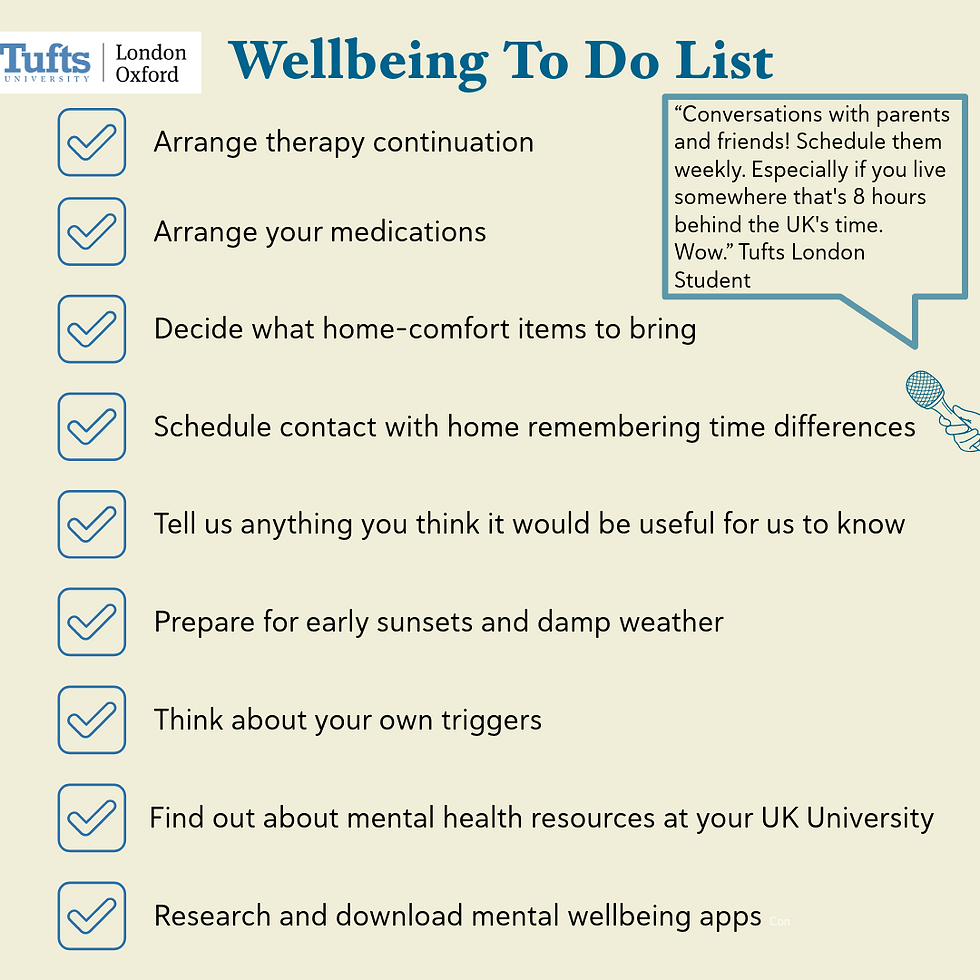 2025 Mental Wellbeing Toolkit-5