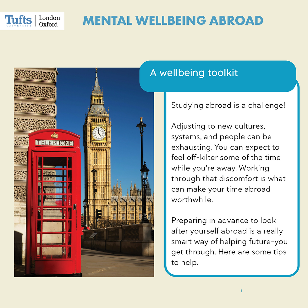 2025 Mental Wellbeing Toolkit-1
