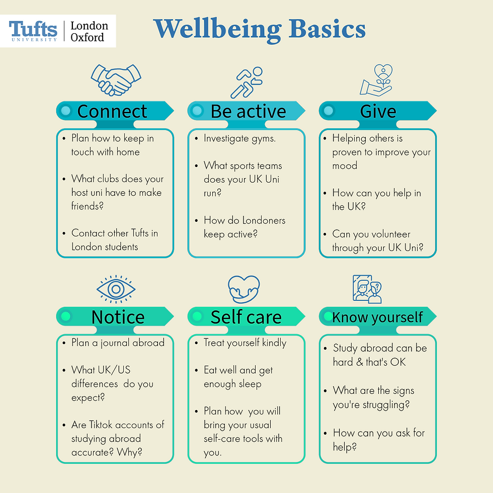 2025 Mental Wellbeing Toolkit-2