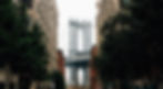 NYC Climate Week | CAFA