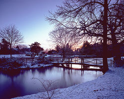 Winter Sunrise