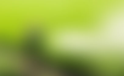 Arı Ölümleri ve Tarım İlaçları