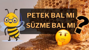 Comb honey or extracted honey?