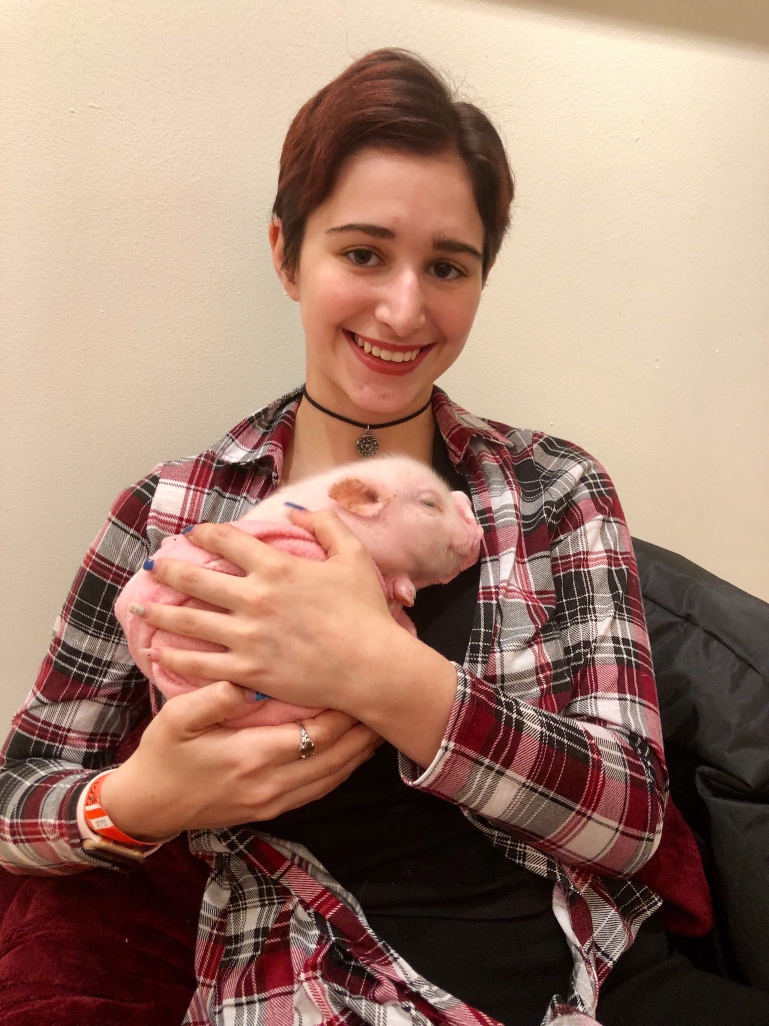 Writer: Emilee’s Petsitting