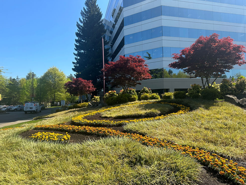 The 'O' Garden