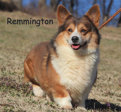 IMG_5988 (2)_edited.jpg