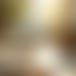 Boost Your Mindset: Practical Tips for Mental Wellness