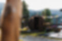 Navis-00412.jpg