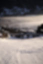 _DSF9136.JPG