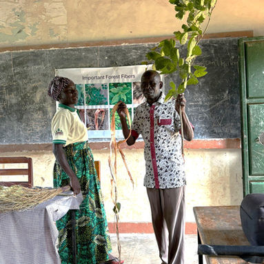 July: School Program, Part Two