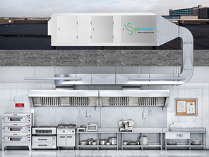 What Is Kitchen Ecology Unit
