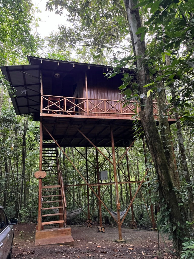 the pura vida way