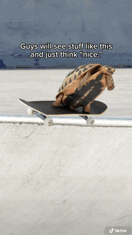 IMG_4950.GIF