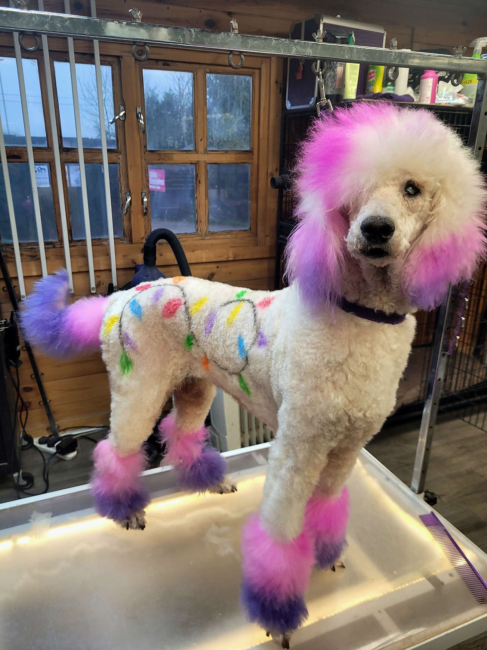 Thumbnail: TransPawmation Pet Hair Markers