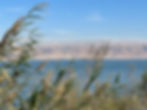 IMG_2193_edited.jpg