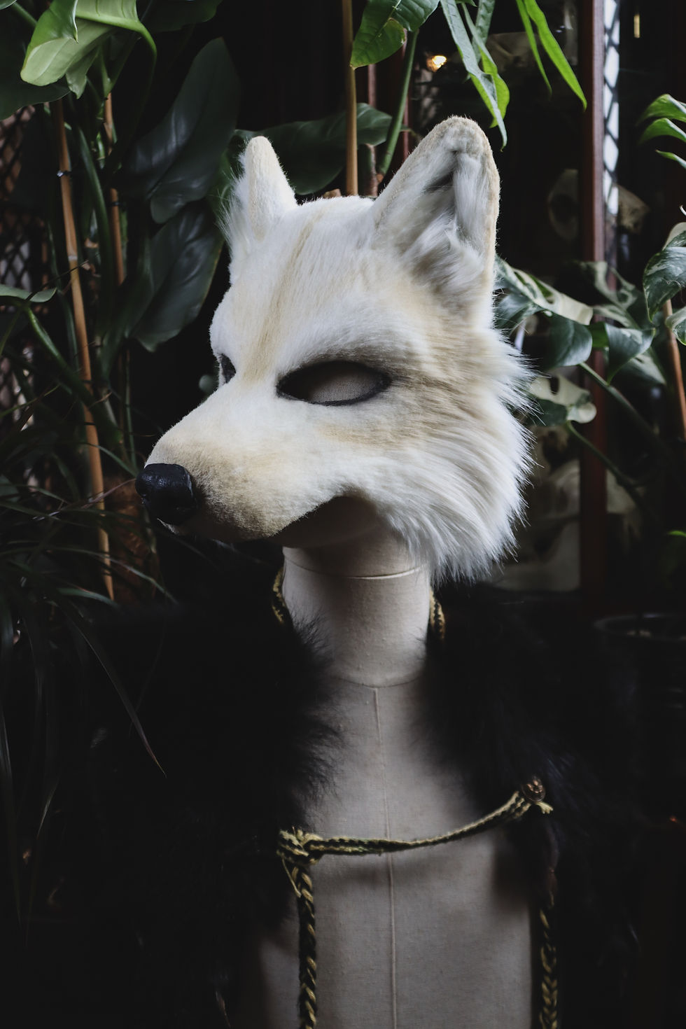 Miniature : Loup blanc
